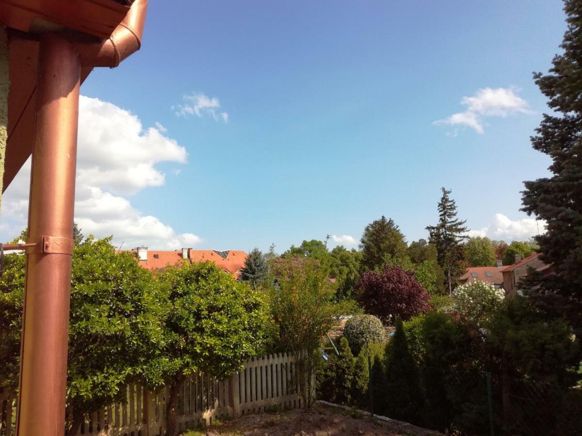 Corso Home, * Keszthely