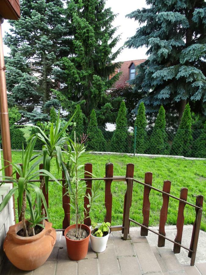 Apartman Corso Home, *